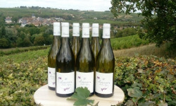 Domaine Doudeau-Leger - Sancerre Blanc AOC 2022 - 6 Bouteilles