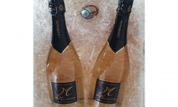 Champagne M de Marianne - Champagne M Blanc de Noirs 100% Pinot Noir - 2 bouteilles