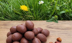 Basile et Téa - Œufs en chocolat au Lait 39% de Pâques Garnis Praliné amande et noisette 150g