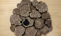 Ferme de Pourcier - Truffe Surgelée - Tuber Mélanosporum 50g