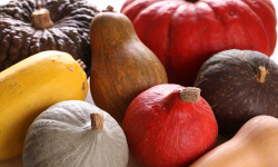 Le Jardin des Gallines - Lot de courges BIO en mélange de variétés vendues entières