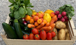 Le Panier du Producteur - Panier de l'Hiver - 5kg