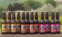 Micro brasserie Blessing - PACK BIERES – 4 blondes + 4 ambrées + 4 IPA – 12x33cl