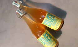 Brasserie L'Indispensable LOVEN Kombucha - Kombucha Citron Menthe & Fire - 3x75cl