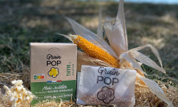 Grain Pop - Maïs à Popcorn saveur Thym & Zaatar -10 étuis