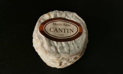 La Fromagerie Marie-Anne Cantin - Toucy