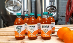 Brasserie L'Indispensable LOVEN Kombucha - SAVEUR EPHEMERE - 6x33cl Orange Nørdic (Orange, chicorée & Cardamome)