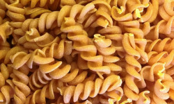 L'Atelier à Pâtes - Mini-fusilli Tomate-oignon Bio