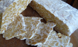 Tempeh Biosegar - Tempeh Artisanal Bio 100% Français  Offre Pro 20 Kg ( Lot De 100 X 200g)