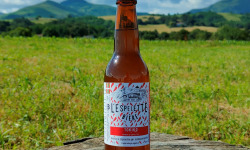 Bipil Aguerria - Blonde au piment d'Espelette 1x33cl - Tokiko - Bière Basque