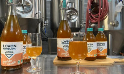 Brasserie L'Indispensable LOVEN Kombucha - SAVEUR EPHEMERE - 10x33cl Orange Nørdic (Orange, chicorée & Cardamome)