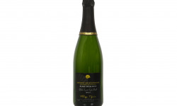 Domaine Tupinier Philippe - 1 Bouteille De Crémant De Bourgogne Blanc De Blancs