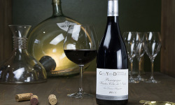 Dyvin : domaine Guy et Yvan Dufouleur - Domaine Guy & Yvan Dufouleur - Hautes-côtes De Nuits Rouge Les Dames Huguette - Lot De 3 B