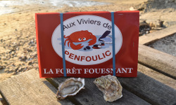 Aux Viviers de Penfoulic - Huîtres Creuses N°2 - 4 Douzaines