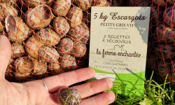 La Ferme Enchantée - (OFFRE PRO) 10kg d'Escargots PETIT GRIS Vifs jeunés Prêt à Cuisiner