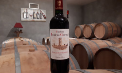 Vignobles Brunot - AOP Lussac Saint-Emilion Rouge - Château Tour de Grenet 2016 - 75cl