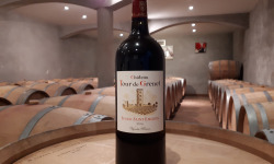 Vignobles Brunot - AOP Lussac Saint-Emilion Rouge - Château Tour de Grenet 2016 - Magnum 150cl