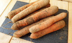 Gourmets de l'Ouest - Carottes de Saint-Malo