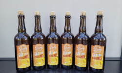 La Gâtine - Bières Agrumes Artisanales : 6 X 75 Cl