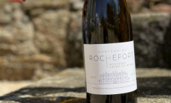 Château de ROCHEFORT - Muscadet de Sèvre et Maine sur Lie AOP - 2019