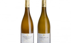 Domaine Tupinier Philippe - Lot De 2 Vins Blancs : Chablis 2020 AOC et Côte D'Auxerre Blanc 2019 - 2 Bouteilles De 75 Cl