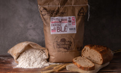 Famille Rochefort - Farine de blé bio T110 (semi-complète) 5 kg