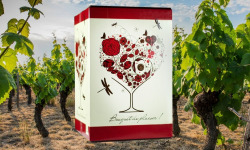 Domaine de la Perrée - Bag in Box (BIB) 5L Rouge Saint-Nicolas-de-Bourgueil