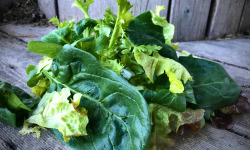 La Boite à Herbes - Mesclun Provençal - 100g