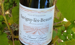 Domaine Daniel Largeot - AOC Savigny-Lès-Beaune 2017 - 6 Bouteilles