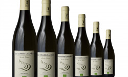 Domaine Les Combes Cachées - Prestige Blanc du Languedoc : 6 Minervois Blanc AOP 2021 - Combe Violon - 6x75cl