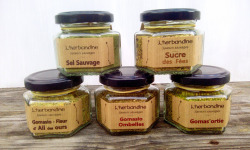 L'herbandine - Lot de 5 condiments sauvages : 3 gomasio, 1 sel, 1 sucre