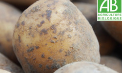 Mon Petit Producteur - Pomme De Terre Bio À Chair Ferme [2,5 kg]