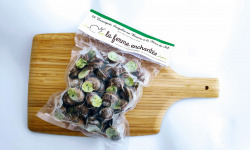 La Ferme Enchantée - [SURGELÉ] 48 Escargots PETIT GRIS au Beurre à La Fleur de Sel Surgelés