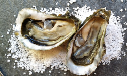 Huîtres Les Vedettes du Bassin - Huîtres creuses du Banc d'Arguin n°2 x 50