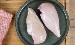 Maison Victor - Filets de poulet - 2kg