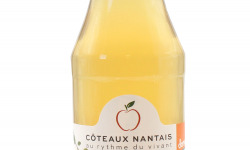 Les Côteaux Nantais - Vinaigre De Cidre Échalotes 25cl Demeter