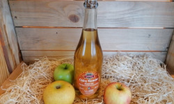 Le Châtaignier - Cidre Fermier Demi Sec - 75cl