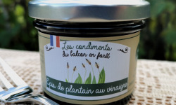 Le Balcon en Forêt - Epis de plantain au vinaigre