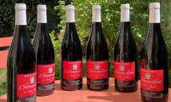 Domaine des Mazis - AOC Châteaumeillant - Vin Rouge - La Belle Anglaise 2018 - 6x75 cl