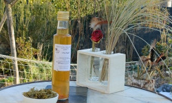 Rébecca les Jolies Fleurs - Infusion de pousses de sapin au vinaigre de cidre bio