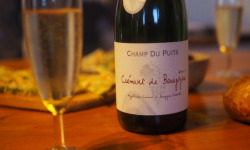 SCEA Champ du Puits - Crémant de Bourgogne - 6 bouteilles