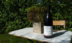 Domaine Ghislain Kohut - Lot 6 Bouteilles de Marsannay lieu-dit "Champs Perdrix" AOC