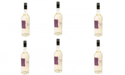 Domaine de Bilé - AOP Floc de Gascogne Blanc - 6 Bouteilles