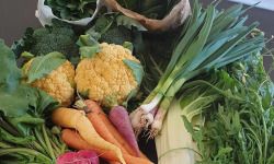 Le Cayre de Valjancelle - Bruno Cayron et Isé Crébely - Panier De Légumes Gastronomiques Bio - 13kg