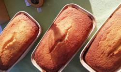 Les Cannelés d'Audrey - Quatre-quarts moelleux  au citron sans gluten