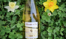 Domaine Truchefaud - Clairette de die AOC - Brut