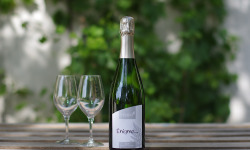 Domaine de l'Ambroisie - Enigme Brut