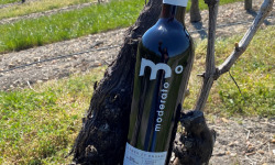 Moderato - Vin Rouge Pugibet Allégé Alcool 5%