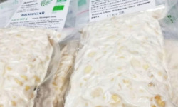 Tempeh Biosegar - Tempeh Artisanal Bio 100% Français lot de 4x200g