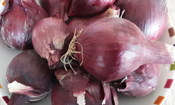 Gourmets de l'Ouest - Oignons rouges de Saint-Malo